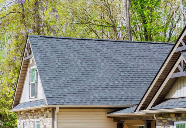 Best Skylights  in Evart, MI
